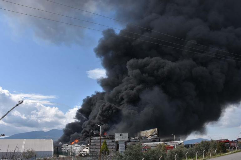 Kemalpaşada soğuk hava deposunda yangın