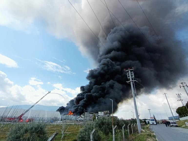 Kemalpaşada soğuk hava deposunda yangın