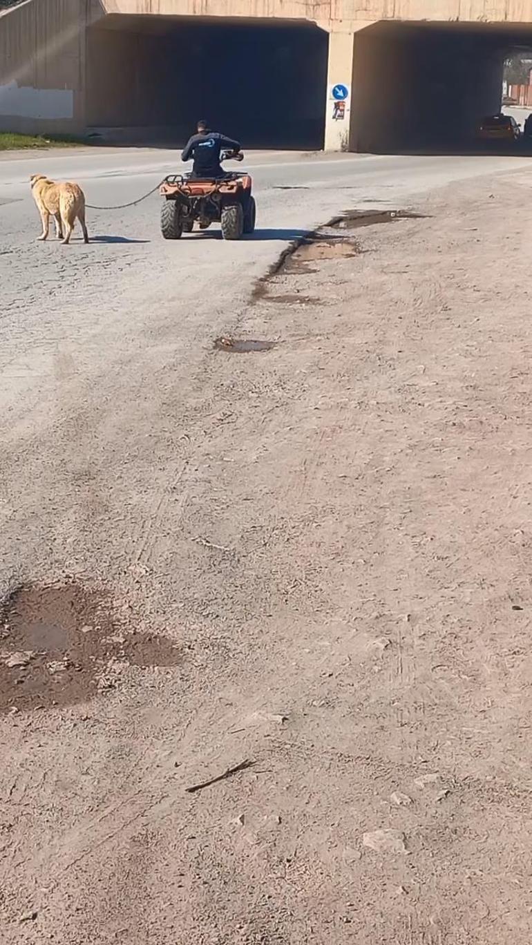 ATVsine bağladığı köpeğini sürükledi; o anlar kamerada