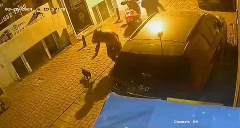 Zeytinburnunda motosiklet sürücüsü sahipli yavru köpeği sokaktan alıp kaçtı