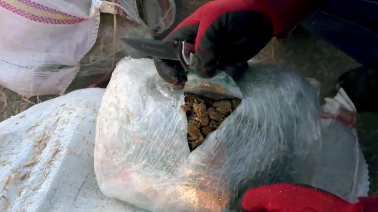 TIR’daki saman balyalarının arasından 305 kilo ‘skunk’ çıktı