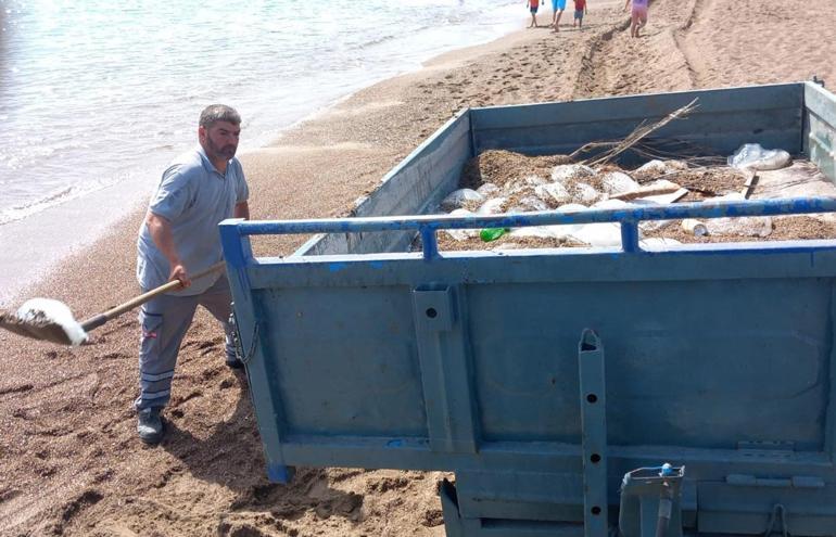 Antalyada yüzlerce denizanası kıyıya vurdu