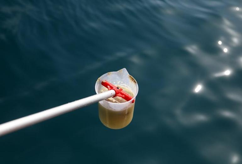 Antalya açıklarında denizanası ve sarı birikinti incelemesi