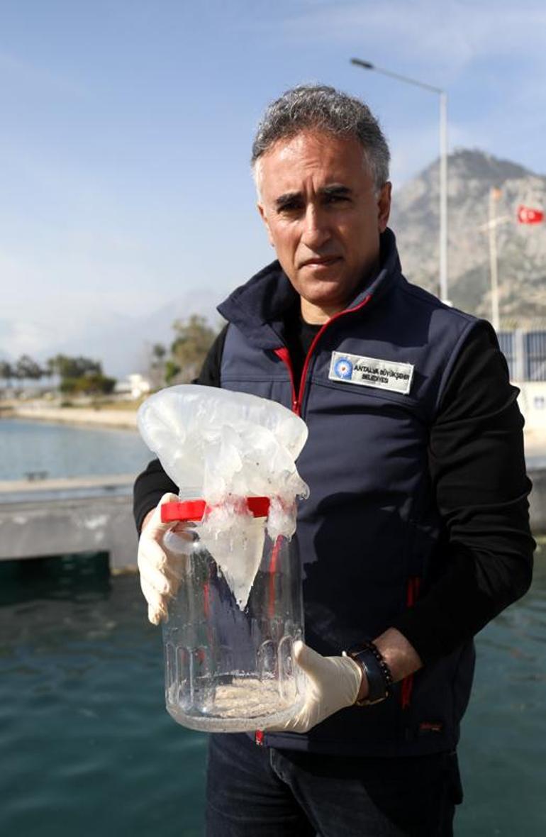 Antalya açıklarında denizanası ve sarı birikinti incelemesi