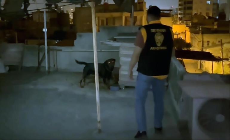 Bayram ziyaretinden dönen Asel, köpek saldırısında yaralandı