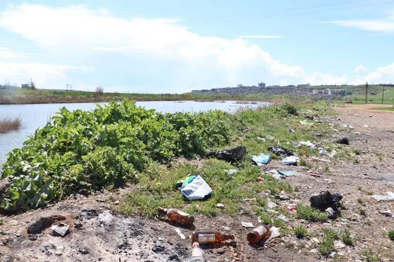 Piknikçi atıkları Dicle Nehri çevresini çöplüğe çevirdi; su kuşları kirlilikten çok etkileniyor