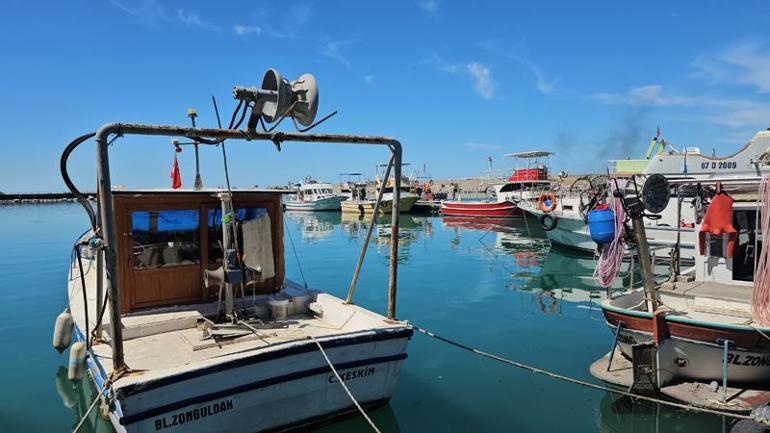 Zonguldak’ta balıkçılar, sezonda umduğunu bulamadı