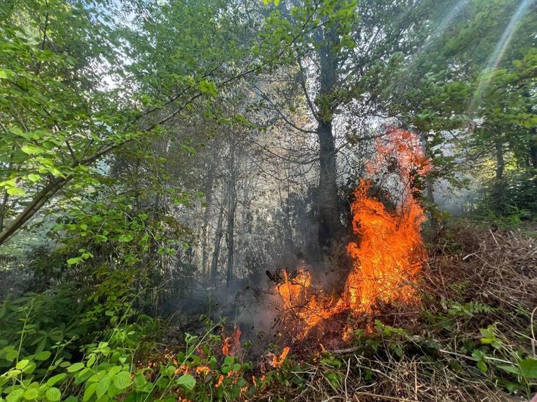 Bahçe temizliği için yakılan ateş ormana sıçradı, 5 dönüm alan yandı