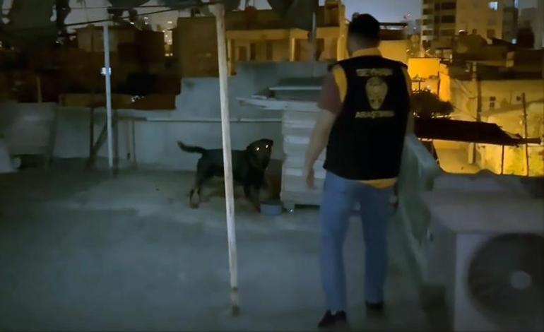 Köpek saldırısında yaralanan Asel taburcu oldu: Çok korktum, canımı acıttı