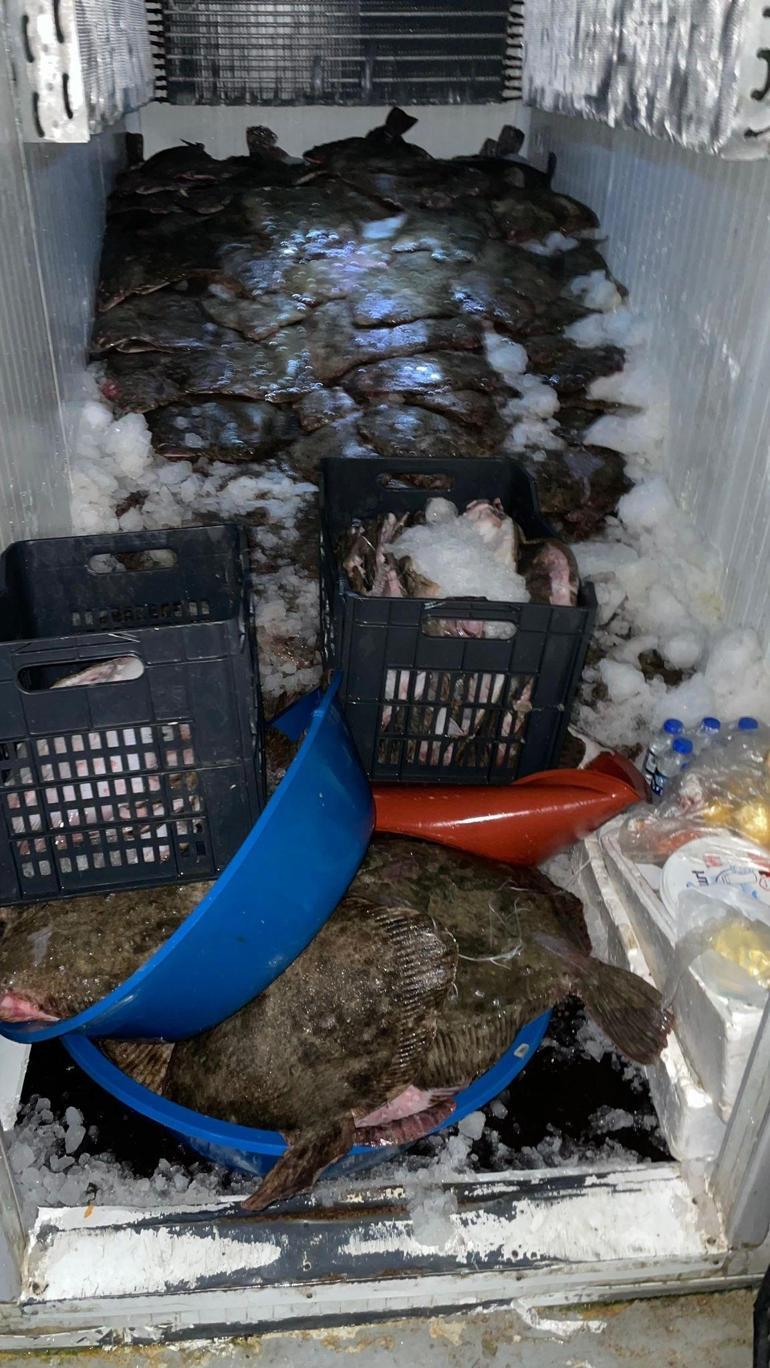 Ukrayna sularında kaçak balık avlayanlara 749 bin TL ceza