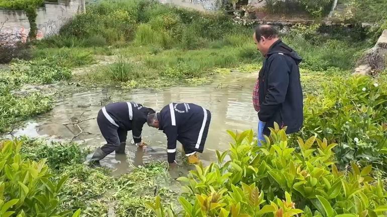 Edanurun boğulduğu noktada bariyerli önlem devam ediyor