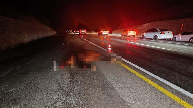 Bingölde yola çıkan ata otomobil çarptı: 1 ölü, 5 yaralı