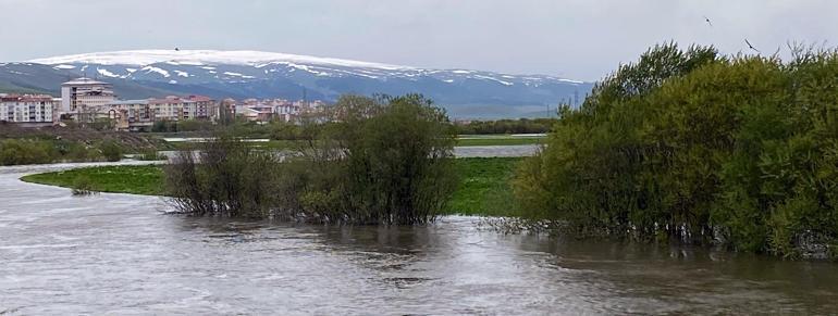 Ardahanda dağlar yeniden beyaza büründü