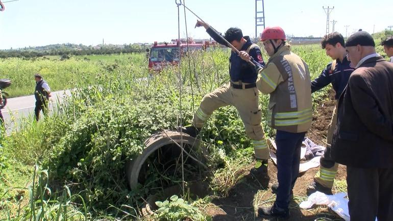 Büyükçekmecede kurbanlık dana açık bırakılan yağmur suyu drenaj kuyusuna düştü