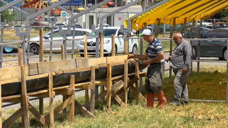 Kurban pazarları kurulmaya başladı; kurbanlıklar 1 Haziran’da İstanbul’da