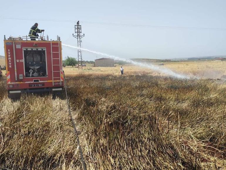Hatayda iki ayrı yangında 77 dönüm ekili buğday tarlası zarar gördü