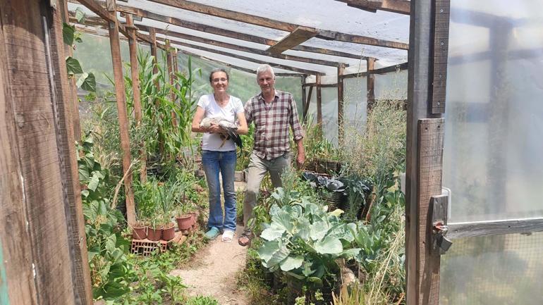 Tilki öldürdüğünü ihbar eden komşuya darp iddiası