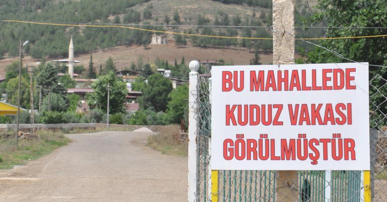 1 kişiyi ısıran köpek kuduz çıktı, mahalle 6 ay karantinaya alındı