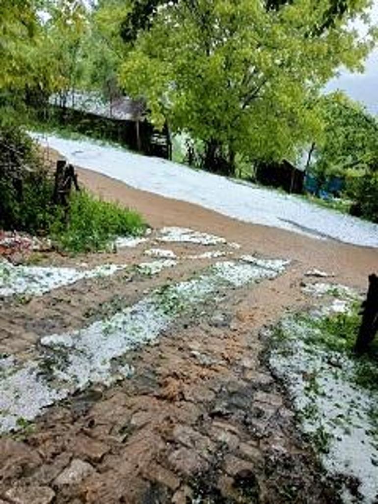 Orduya fındık büyüklüğünde dolu yağdı; meyve bahçeleri ile ekili alanlar zarar gördü