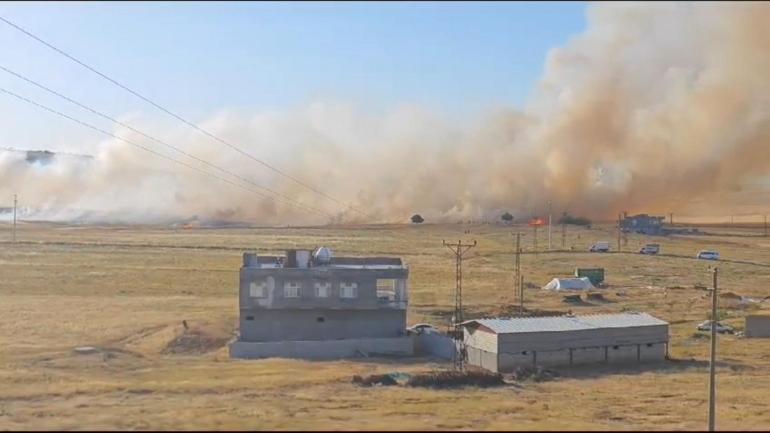 Diyarbakır’da 400 dönüm buğday, mercimek ve arpa ekili tarla yandı