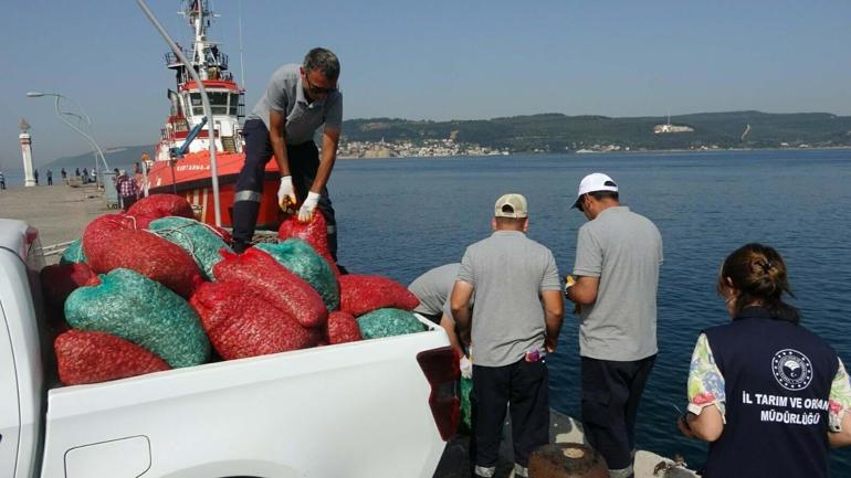 Çanakkalede kaçak yolla avlanan 3 ton kum şırlanı ele geçirildi