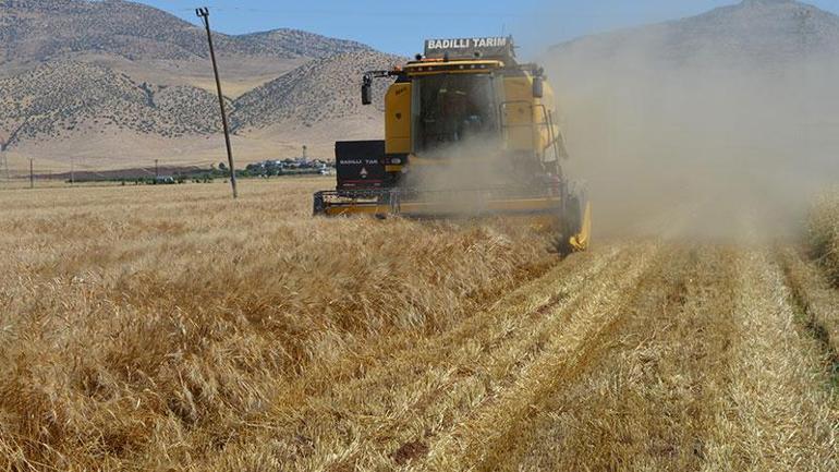 Kurban Bayramı için kapıda vize ile feribot seferlerinin doluluk oranları yüzde 100e ulaştı