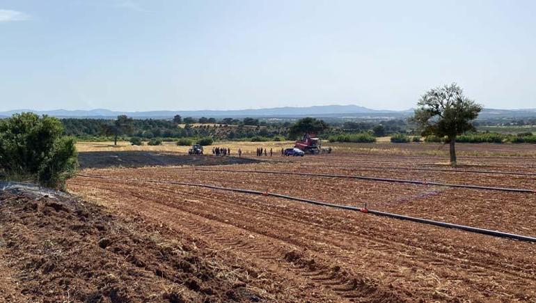 Çanakkaledeki ikinci anız yangını kontrol altına alındı