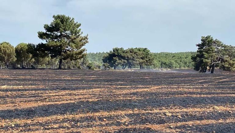 Çanakkaledeki ikinci anız yangını kontrol altına alındı