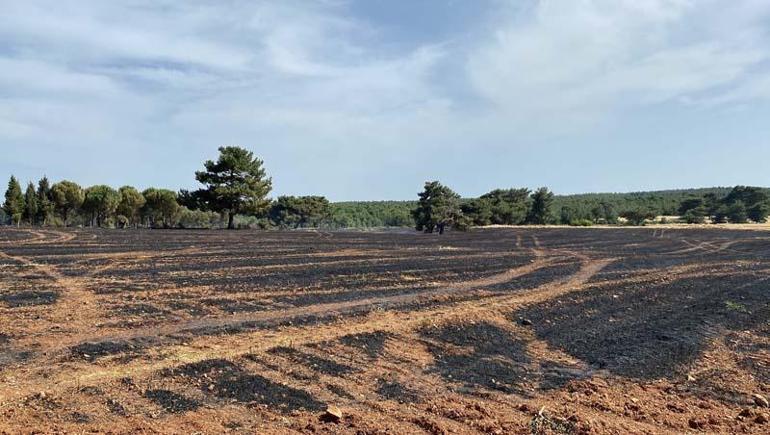 Çanakkaledeki ikinci anız yangını kontrol altına alındı