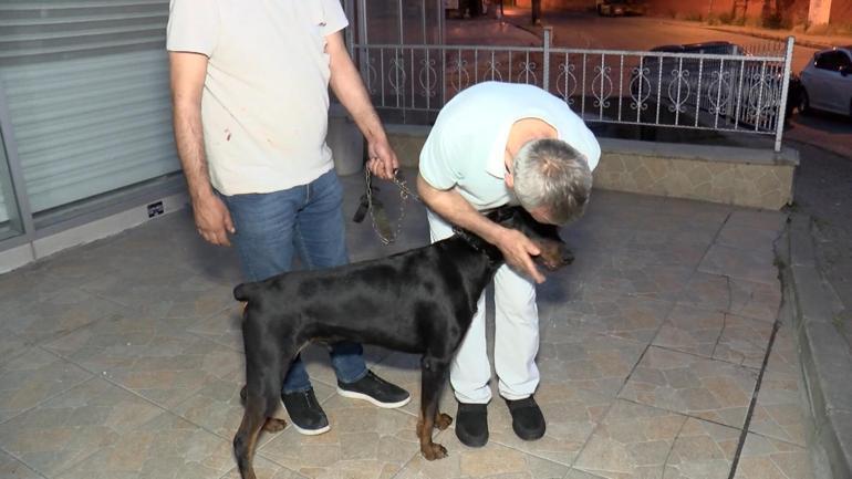 Bağcılarda güvenlik görevlisi ile köpeğine tekme tokat saldıran şüpheliler tutuklandı