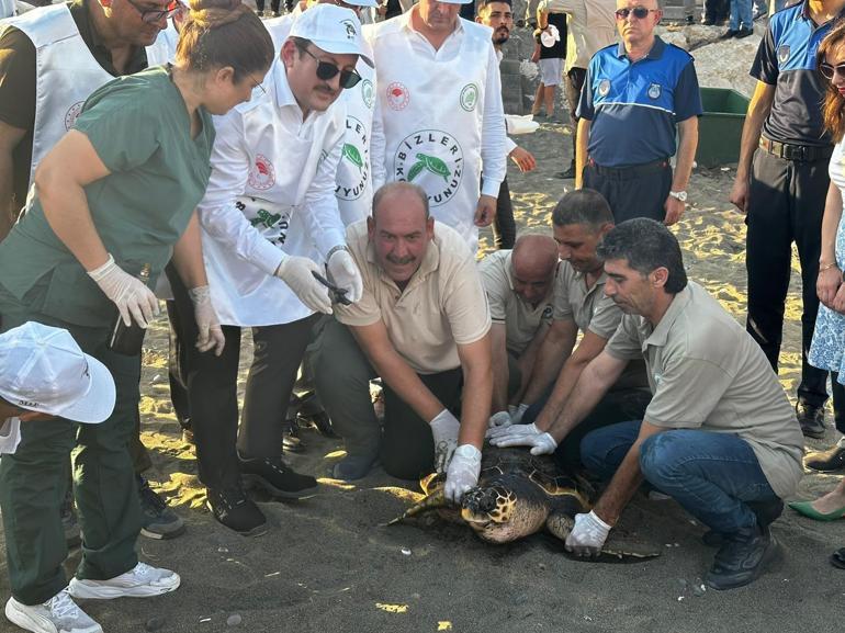 Tedavisi 2 yılda tamamlanan caretta caretta denize bırakıldı