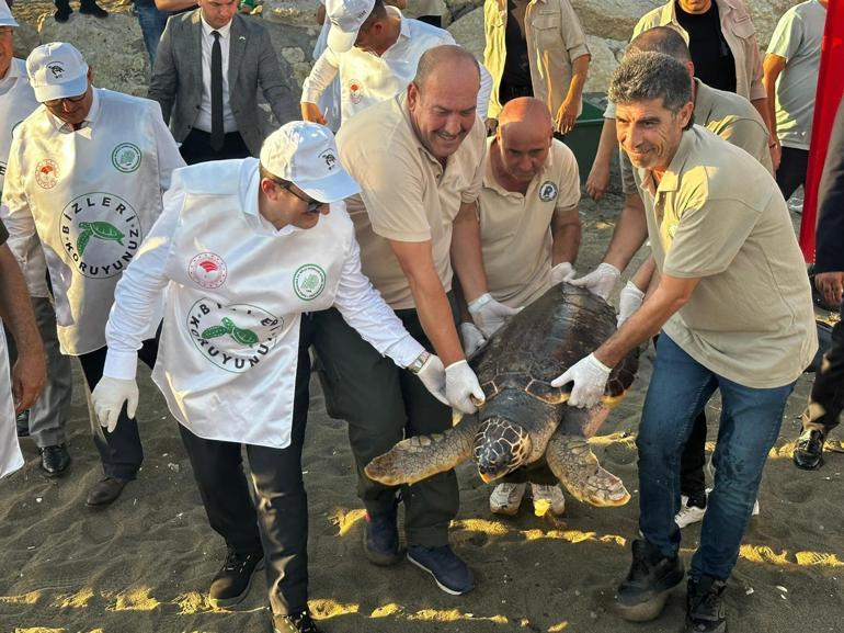 Tedavisi 2 yılda tamamlanan caretta caretta denize bırakıldı