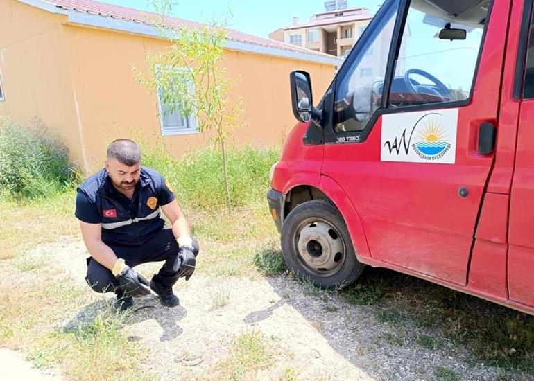 Öğretim görevlisinin çamaşır makinesine giren yılanı, itfaiye ekibi çıkardı