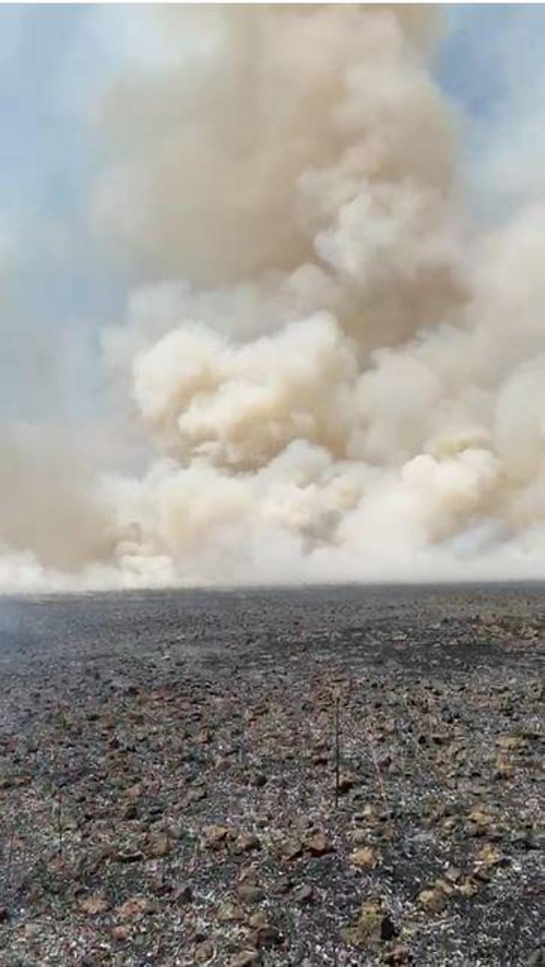 Mardinde 70 dönüm buğday tarlası yandı; 13 gündeki yangınlarda 4 bin 885 dönüm ekili arazi zarar gördü