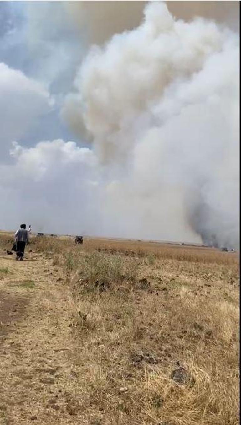 Mardinde 70 dönüm buğday tarlası yandı; 13 gündeki yangınlarda 4 bin 885 dönüm ekili arazi zarar gördü