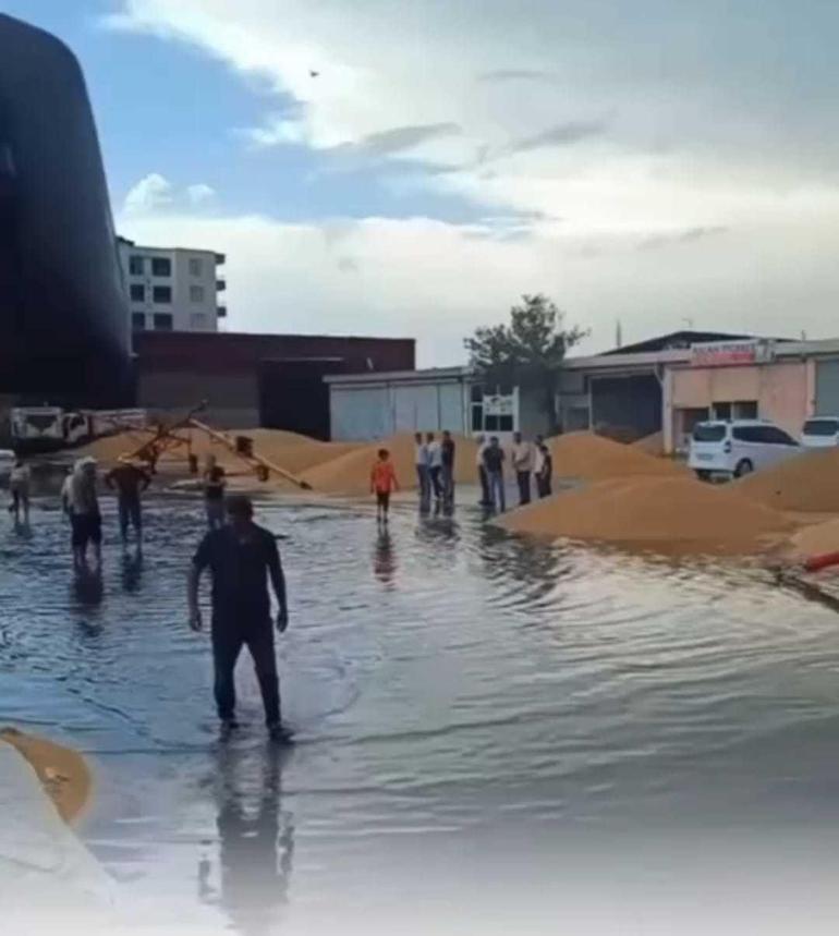 Mardin ve Batman’da kuvvetli fırtınada ağaçlar devrildi; o anlar kamerada