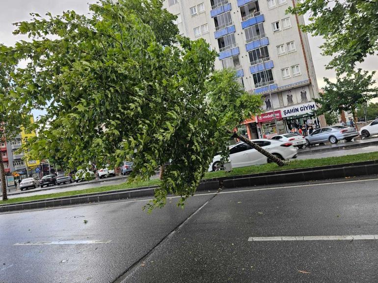 Mardin ve Batman’da kuvvetli fırtınada ağaçlar devrildi; o anlar kamerada