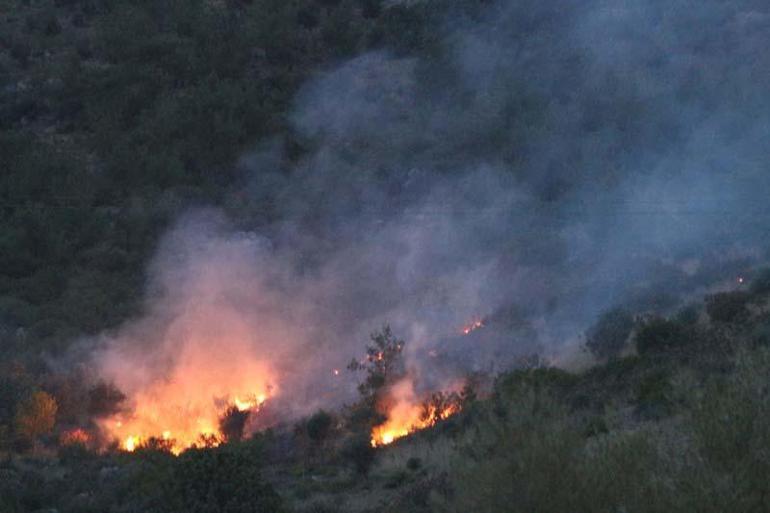 Adanada 2 günde 10 orman yangını çıktı, profesör uyardı