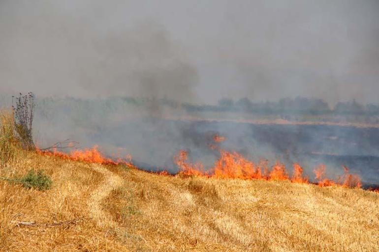 Adanada 2 günde 10 orman yangını çıktı, profesör uyardı
