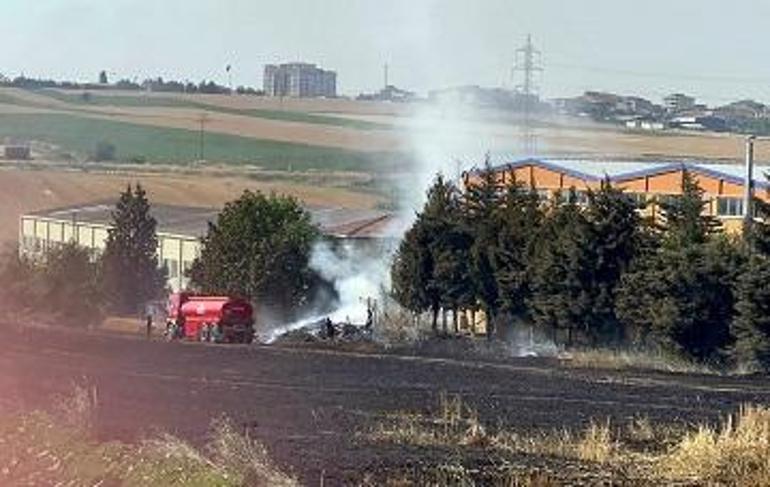 Tekirdağda 20 dönüm ekili buğday, yangında zarar gördü