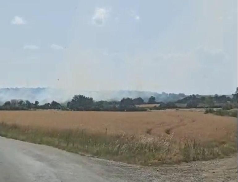 Edirnede yangın; 90 dekar tarım ve mera alanı zarar gördü