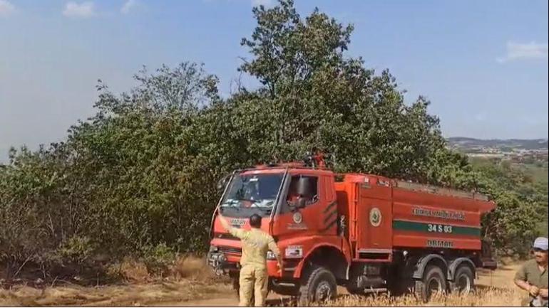 Edirnede yangın; 90 dekar tarım ve mera alanı zarar gördü