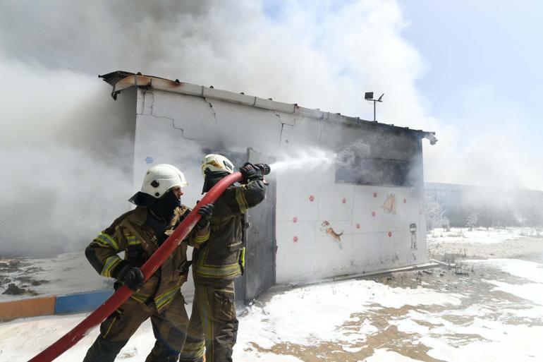 İzmirde ot yangını fabrikaya sıçradı