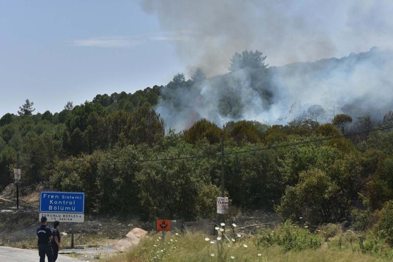 İzmirde ot yangını fabrikaya sıçradı