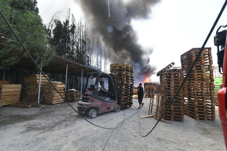 İzmirde ot yangını fabrikaya sıçradı