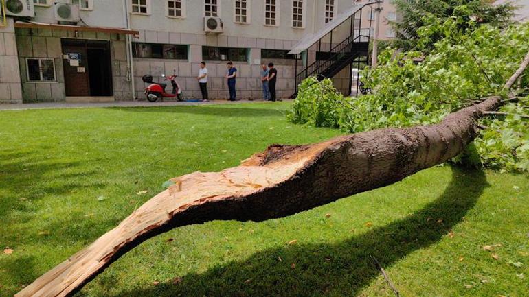 Bursada rüzgarda cami bahçesindeki ağacın dalı kırıldı; altında kalan 1 kişi yaralandı