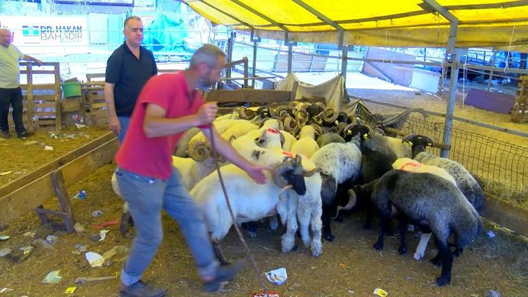 Kurban pazarlarında satıcılar toplanmaya başladı