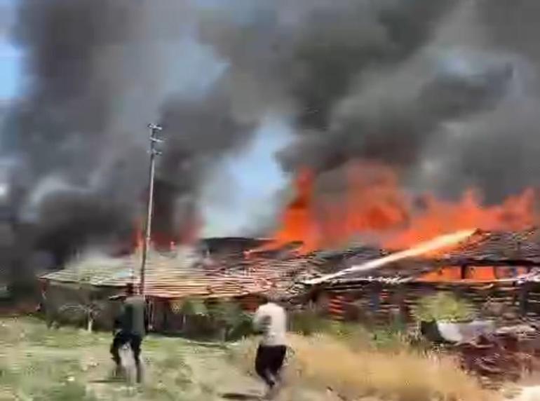 Ankarada ahır yangını; 12 büyükbaş öldü