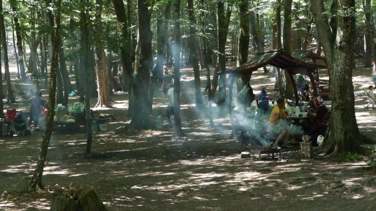 Kurban Bayramında İstanbulda kalanlar piknik alanlarına akın etti
