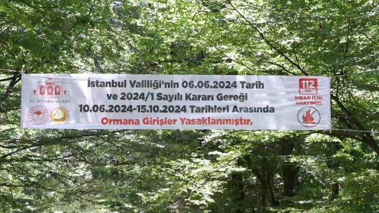 Kurban Bayramında İstanbulda kalanlar piknik alanlarına akın etti